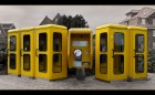 gelbe Zellen  © 2025 René Göke